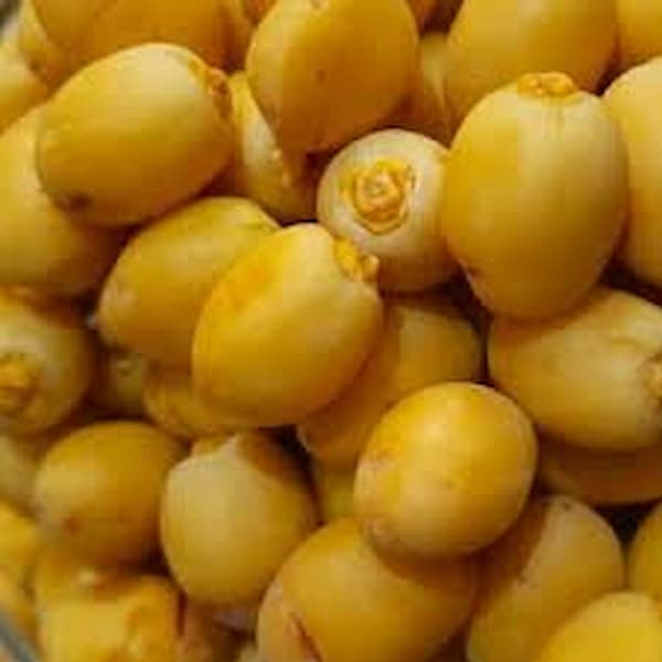 تصویر 1 از راهنمای خرید خرما خارک زرد + قیمت عالی